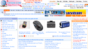 vatgia 300x168 10 Website mua bán trực tuyến hàng đầu tại Việt Nam