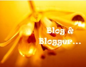 blog